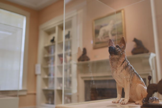 American Kennel Club Museum of the Dog